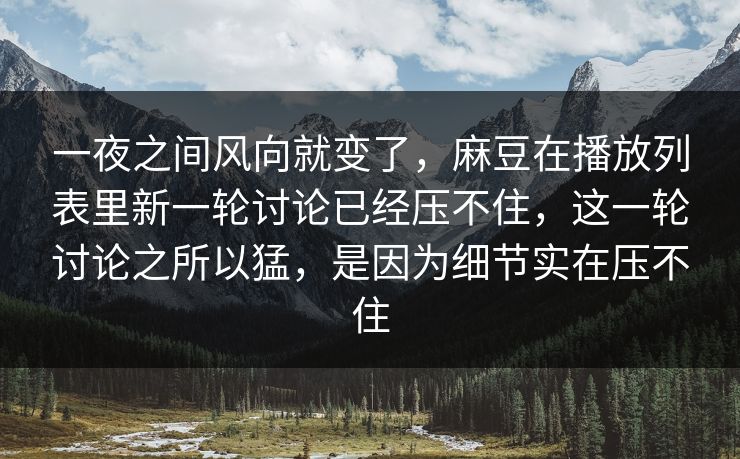 一夜之间风向就变了，麻豆在播放列表里新一轮讨论已经压不住，这一轮讨论之所以猛，是因为细节实在压不住