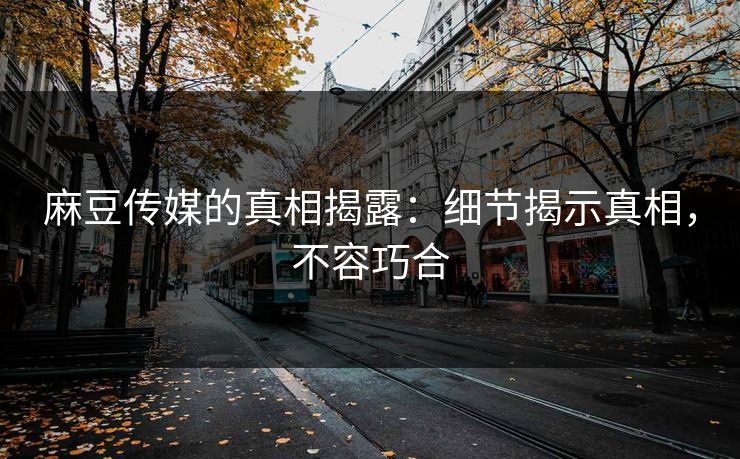 麻豆传媒的真相揭露:细节揭示真相,不容巧合